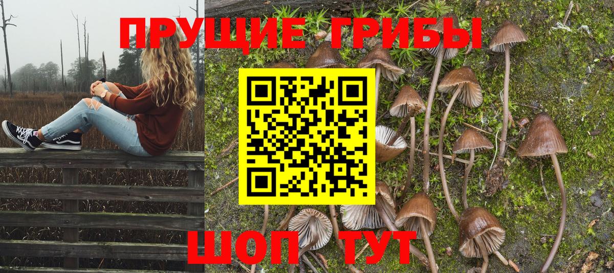 Галлюциногенные грибы GOLDEN TEACHER Новый Уренгой